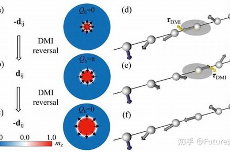 桃子什么时候是膨大期