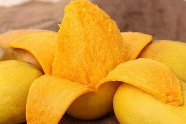 芒果皮可以做肥料养花吗