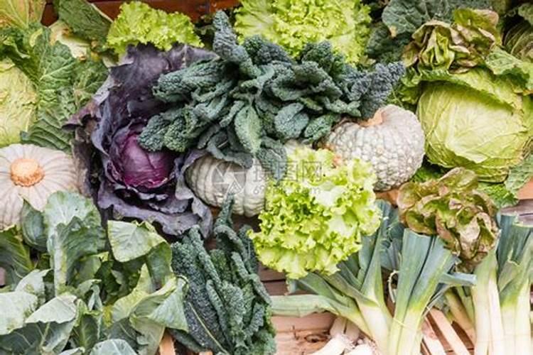 花生麸怎么制作水溶肥