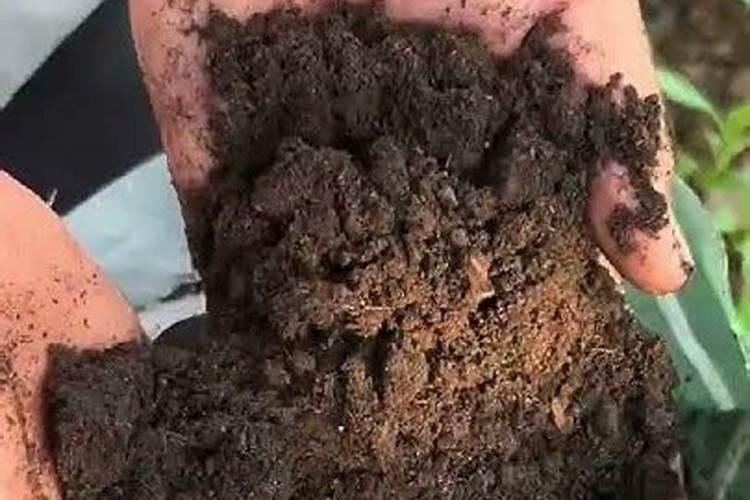 氨基酸检测在生物技术领域有哪些具体应用？