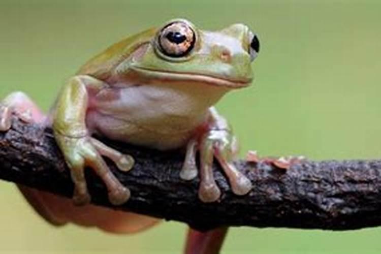 用量最大的化肥