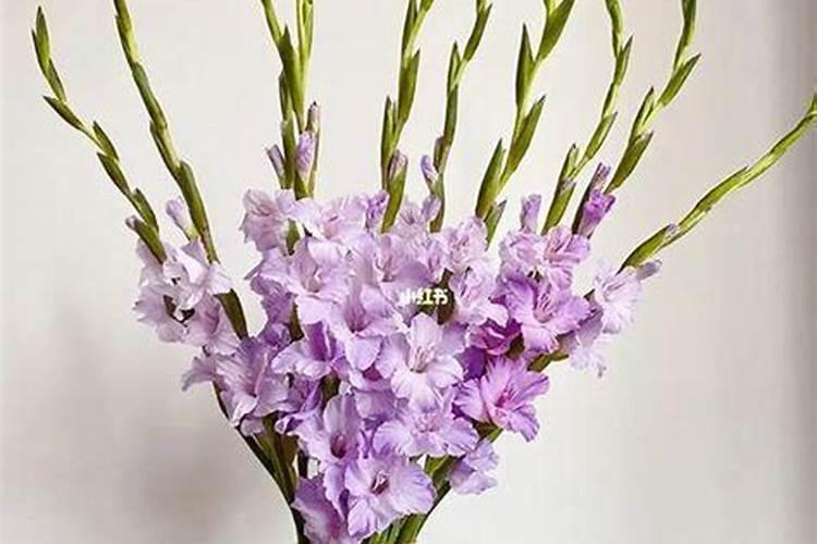 木耳能喷碱性叶面肥吗？