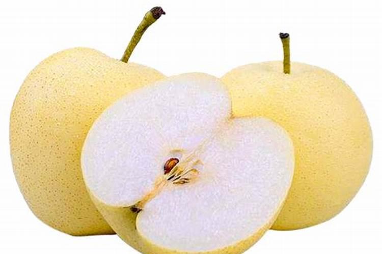 南果梨施肥方法