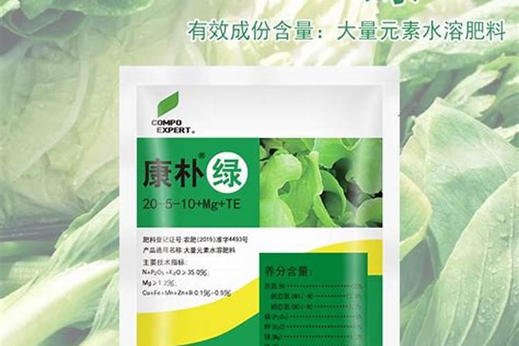 兰花叶面肥有哪些