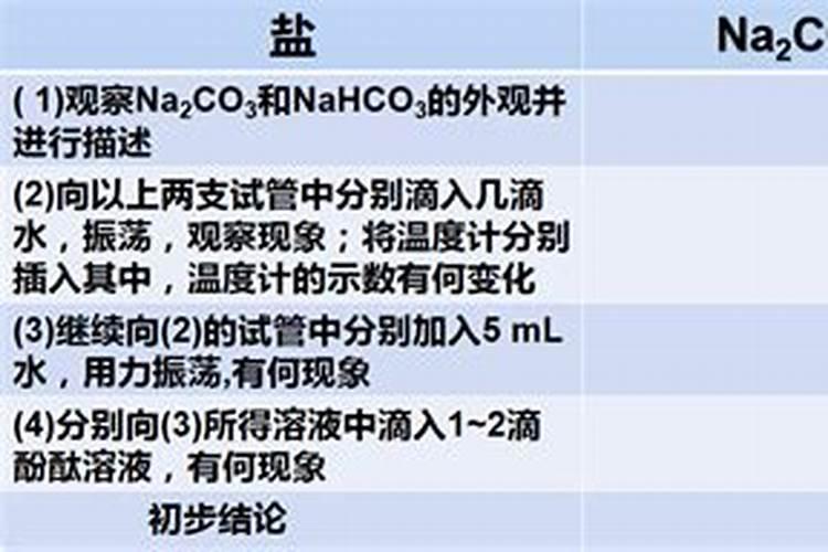 水培绿植有哪些