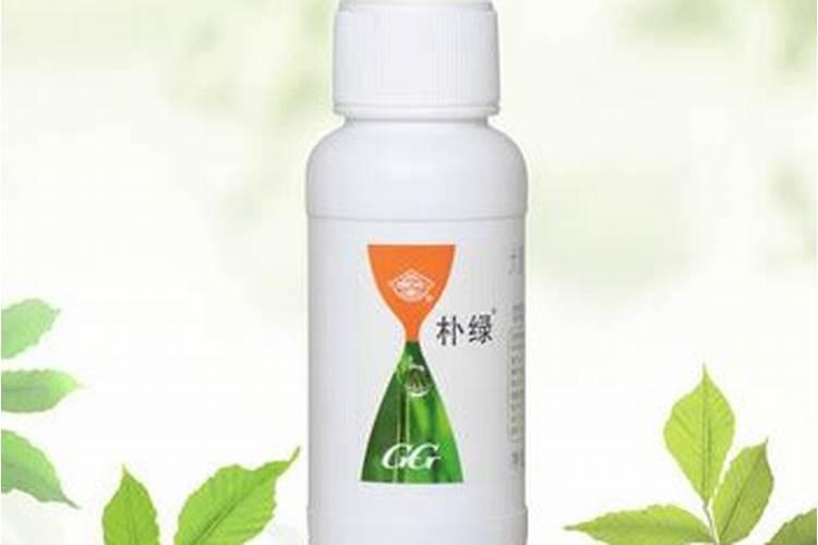 茶花施肥过多怎么办