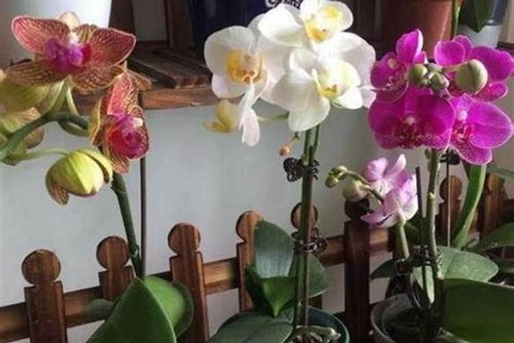 唐老师二个0.3是什么