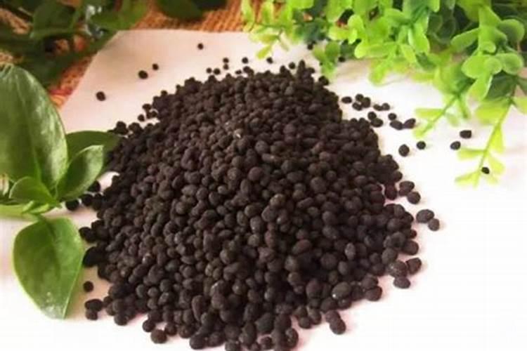 尿素和氮肥,哪个给果树施肥的效果好？为什么？