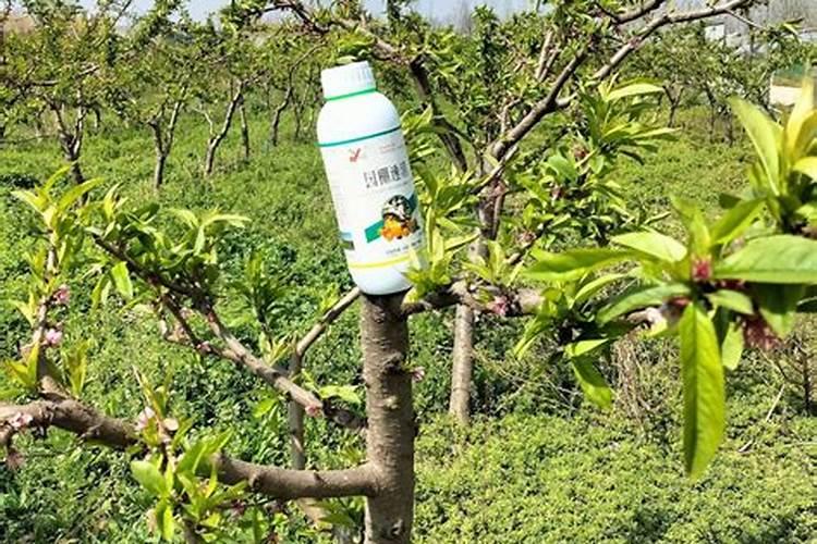 鱼蛋白,羊粪,豆粕肥可以一起用吗？