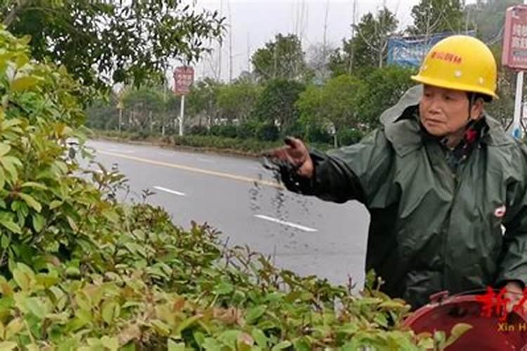 丝瓜疯长但不开花,要如何处理这个问题呢？