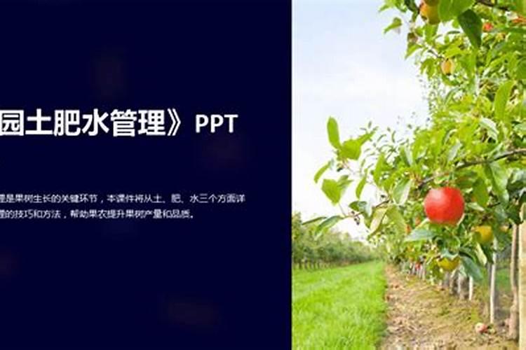 花生后期喷什么叶面肥最好