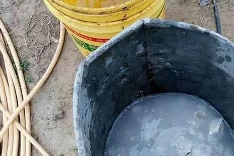 什么植物多施钾肥