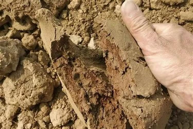 钙肥有哪些 常见的钙肥有哪些