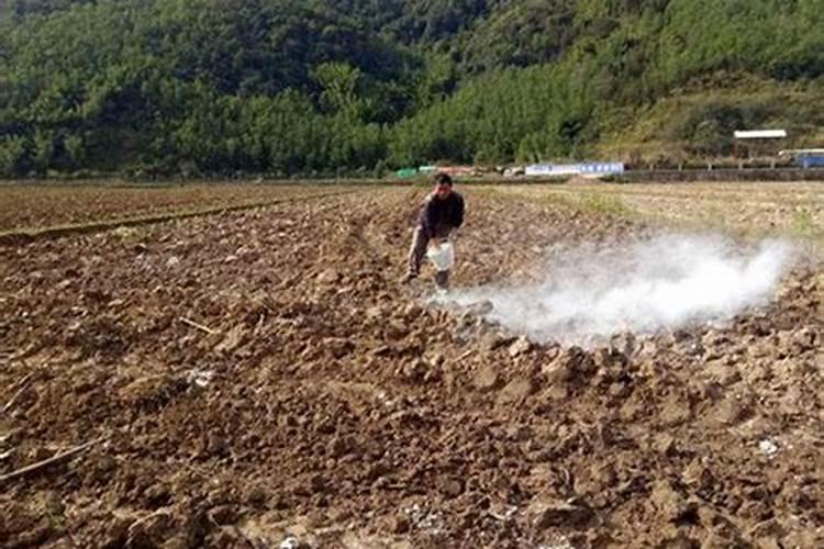 果树能同时施石灰和化肥吗