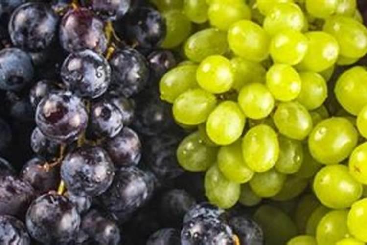 葡萄糖做叶面肥有效吗