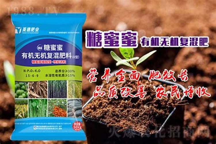 糖蜜和糖蜜发酵液区别