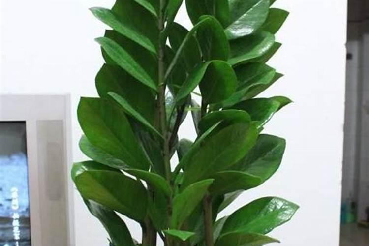 想要提高水产的产量和质量,水产养殖户该选择什么样的磷肥呢？