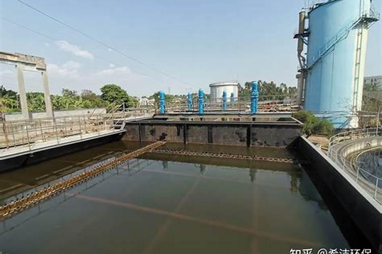 如何在鱼缸中培养青苔？