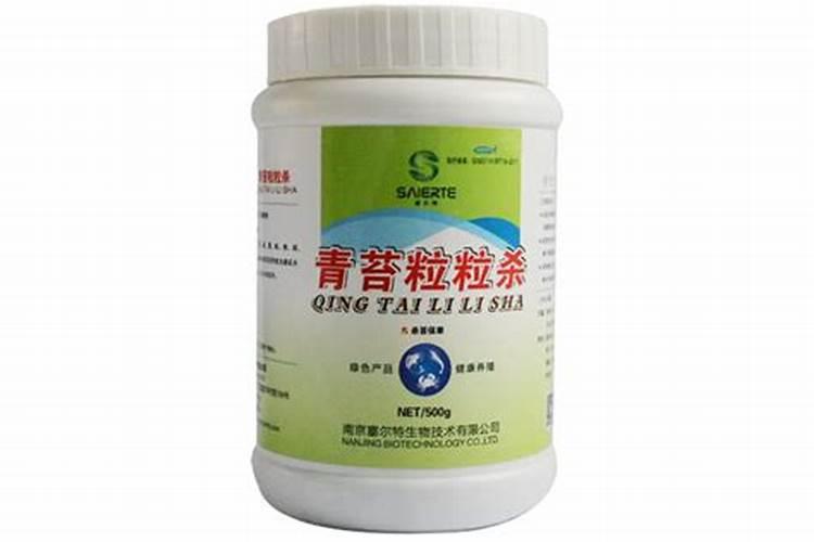 游泳池底很滑,好像是长苔藓怎么处理