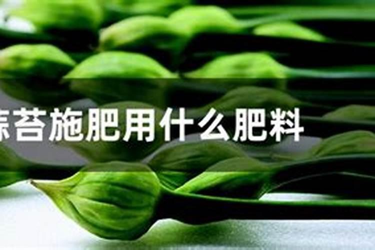 蒜苔拔了之后还要施肥吗