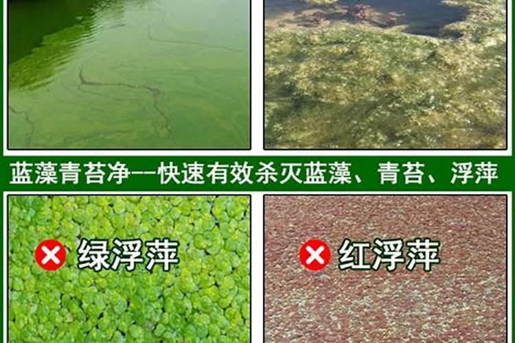 复合肥料能跟氮肥一起施用吗