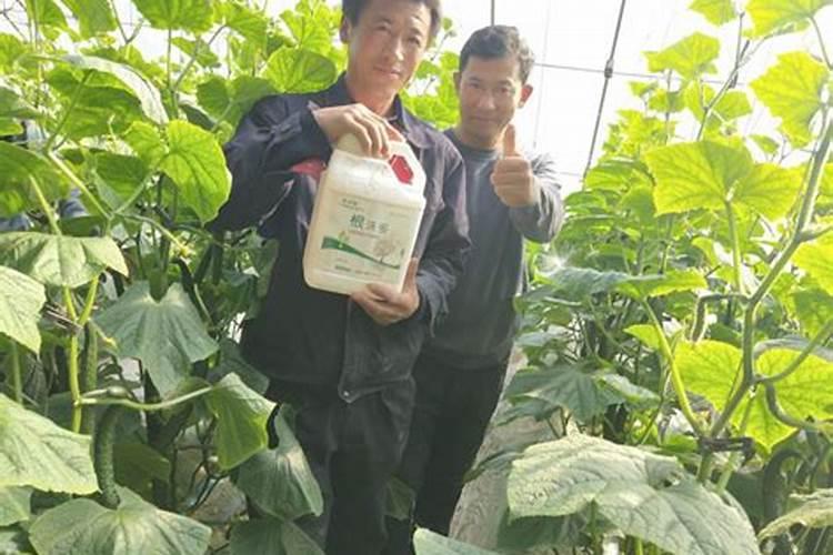 春天果树用什么肥料最好,用什么水溶肥呢？