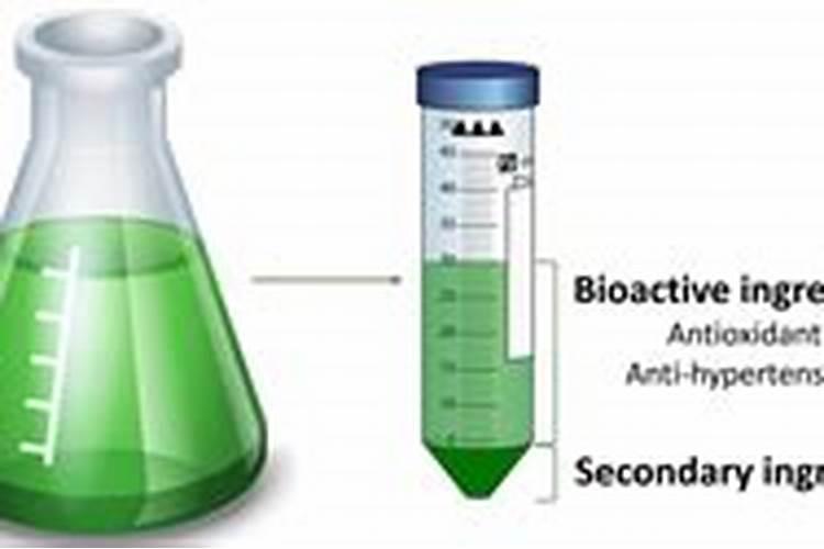 罗汉松盆景什么时候翻盆