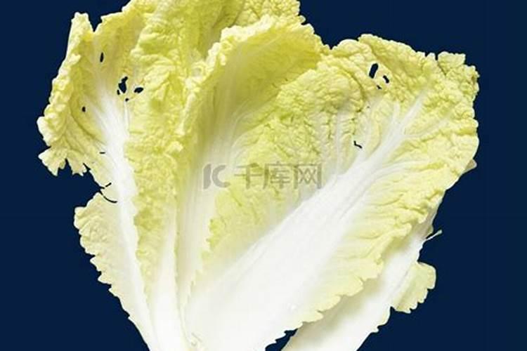 玉米施肥氮磷钾比例是多少 如何合理施加肥料