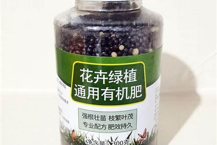 兰花喷叶面肥和浇水需要注意些什么