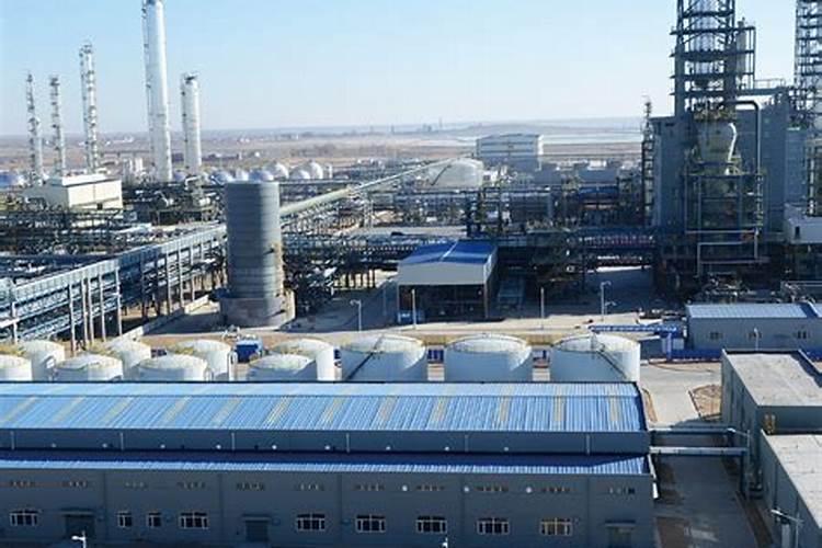 西红柿打什么叶面肥好