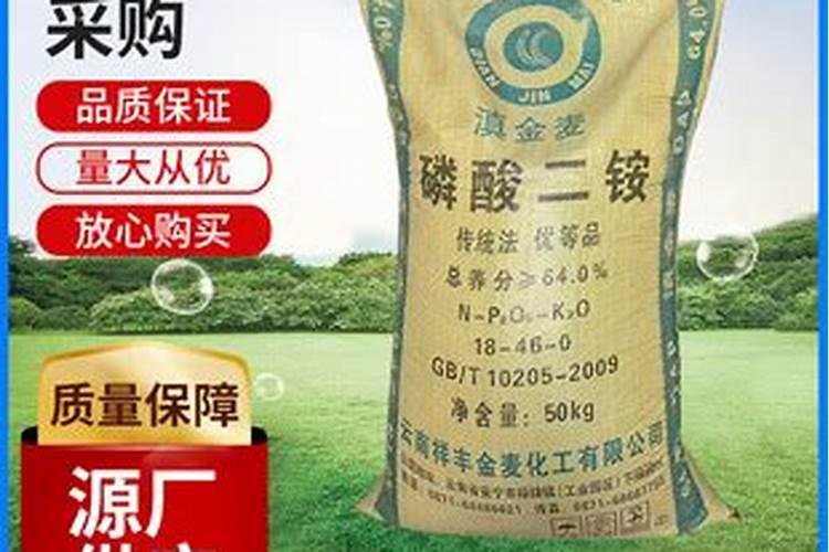 桑葚树怎么施肥