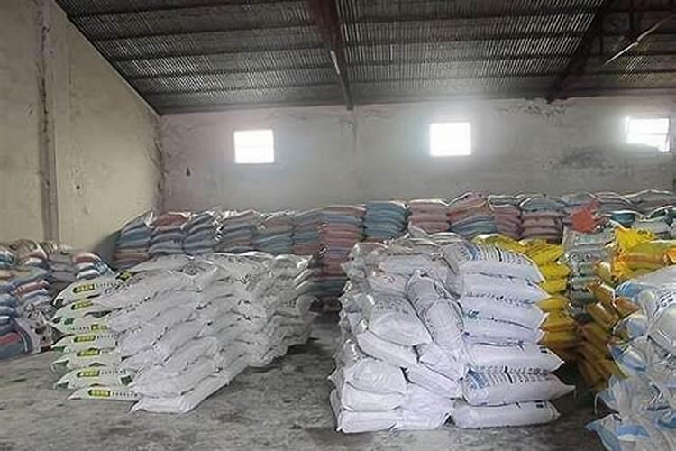 甘蓝施什么肥最好