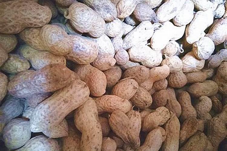 花生米埋土可做肥料吗