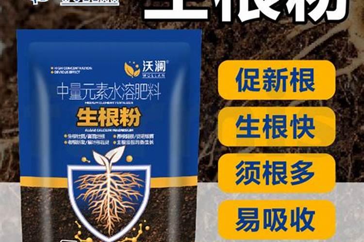 鱼蛋白水肥微生物发酵工艺流程