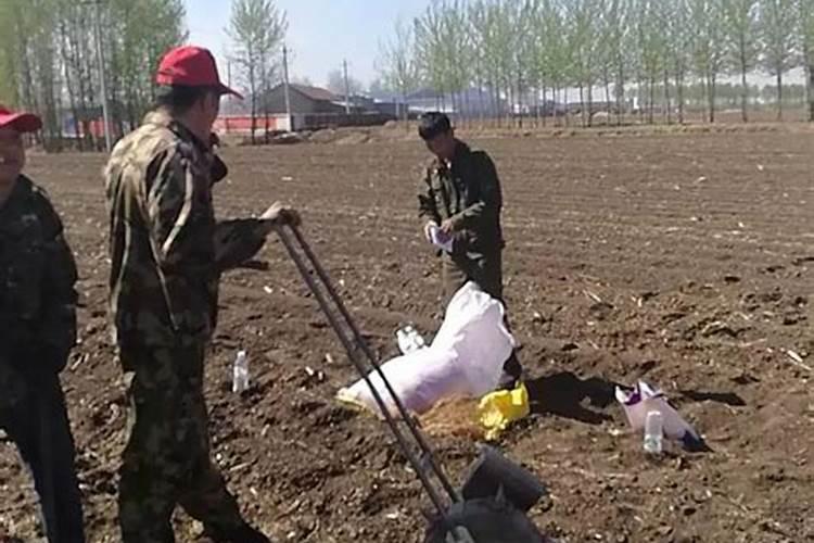 合理施肥增产的原因是什么