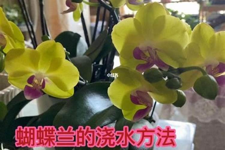 这是什么土,可以养花吗？