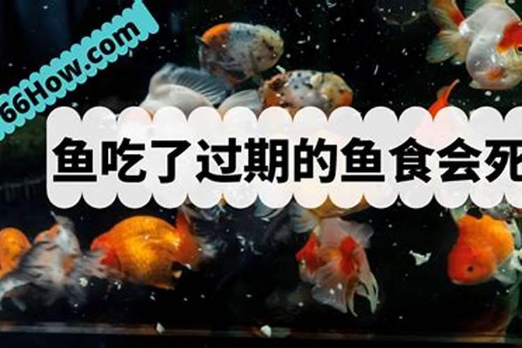 芸苔素冬枣啥时间用,比例多少。 蕾期花期可以用吗？ 芸苔素可以给冬枣灌...