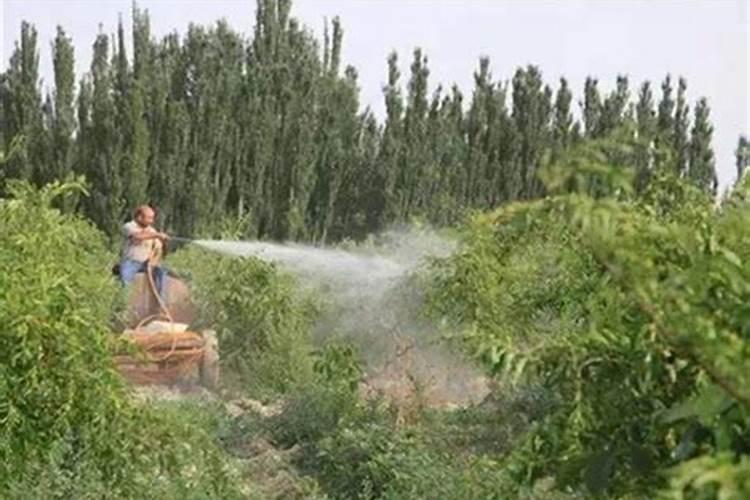 微量元素水溶肥料授粉座果精有毒吗