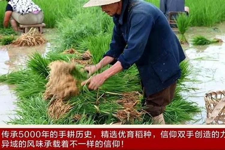 泰国对农农业农药化肥的管控