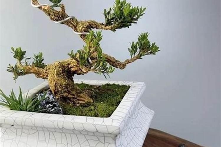 磷矿粉使用方法