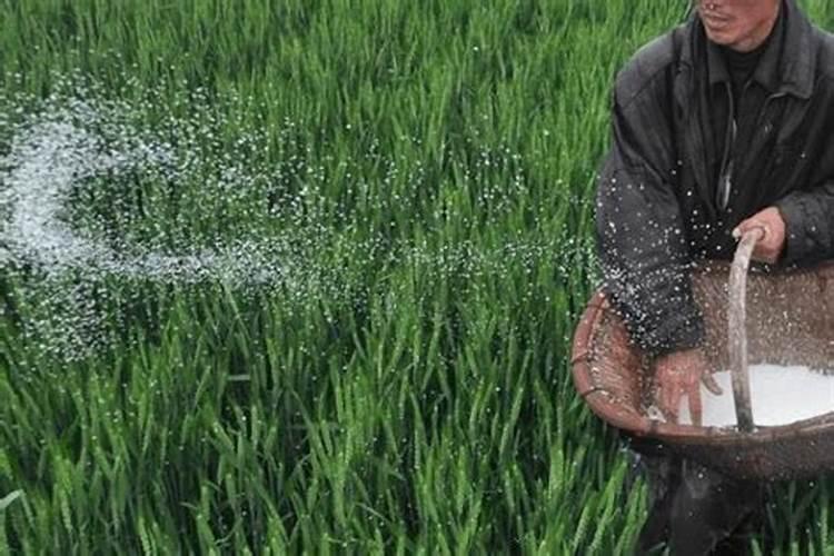 中国水溶肥的前十名 中国水溶肥的前十名是