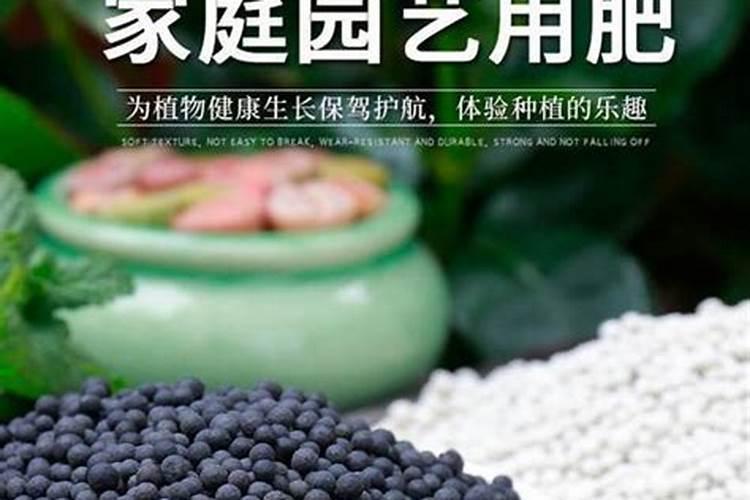 刚扦插成活的葡萄,施什么肥料最好？