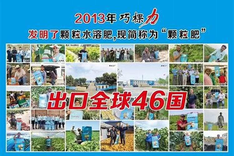 没有肥料可以用什么代替？