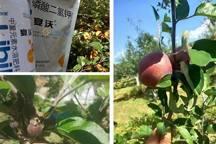 水溶肥的正确配方是什么