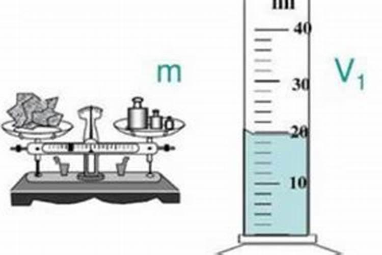 杏子是哪里的产地