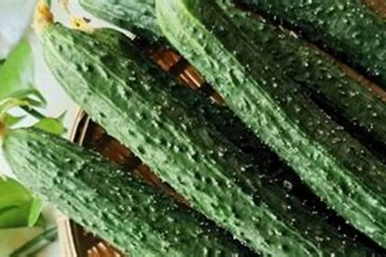 大棚黄瓜叶面肥什么时候喷