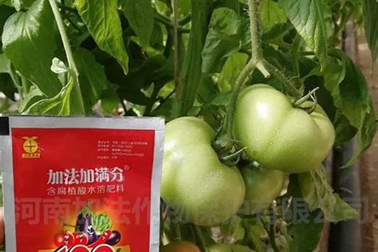 丰田和本田哪个质量好 哪一个更可靠一些