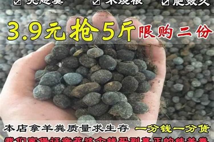 吉林市玉金山绿色生物有机肥有限公司怎么样？
