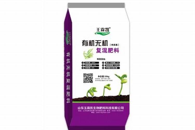 冰菜的种植方法