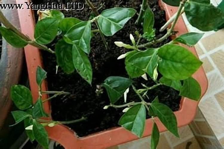 遇见尤尚农业,遇见生物碳酶的有机力量,多多双十电商节肥多多精选...